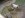 86'T400 NP205        04-08-06  (Small).jpg