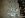 05-10-08 007 (Small).jpg