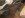 driveshaft1.JPG