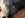 driveshaft4.JPG