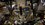 IMG_3978.jpeg