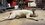 IMG_3979.jpeg