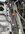 IMG_3372.jpeg