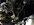 IMG_0474.jpeg