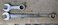 IMG_7781.jpeg