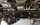 IMG_7782.jpeg