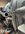IMG_4250.jpeg
