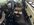 IMG_0491.jpeg