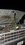 IMG_0444.jpeg