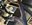 IMG_7792.jpeg IMG_7792.jpeg