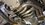 IMG_4011.jpeg
