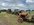 IMG_6750.jpeg