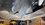 IMG_1818.jpeg
