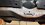 IMG_1816.jpeg