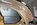 IMG_1959.jpeg