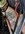 IMG_7803.jpeg