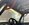 IMG_7799.jpeg