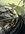 IMG_0515.jpeg