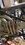 IMG_4025.jpeg