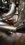 IMG_4023.jpeg