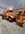 IMG_1515.jpeg
