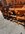 IMG_1516.jpeg