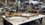 IMG_1980.jpeg