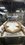 IMG_1981.jpeg