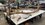 IMG_1983.jpeg