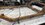 IMG_1988.jpeg