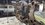 IMG_1989.jpeg