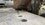 IMG_1990.jpeg
