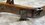 IMG_1994.jpeg