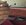 IMG_6805.jpeg