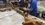 IMG_1997.jpeg