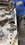IMG_2003.jpeg