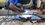 IMG_2007.jpeg