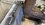 IMG_2010.jpeg