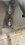 IMG_2013.jpeg