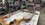 IMG_2014.jpeg