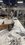 IMG_2015.jpeg