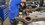IMG_2018.jpeg