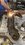 IMG_2019.jpeg
