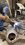 IMG_2021.jpeg