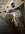 IMG_6807.jpeg