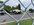 IMG_3367.jpeg