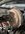 IMG_0495.jpeg