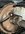 IMG_0497.jpeg