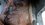 IMG_20260809_175121582_MP.jpg