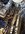 IMG_0325.jpeg